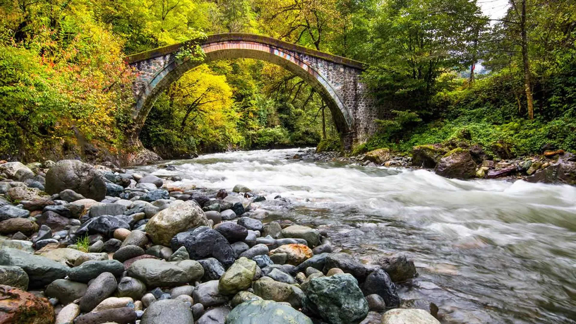 firtina_deresi_rize